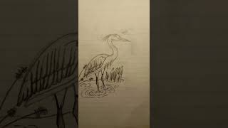 Bocetos.¿Que tal me quedaron?🙀🪶🙌#dibujo #drawing #art #aprendiendoadibujar #anime