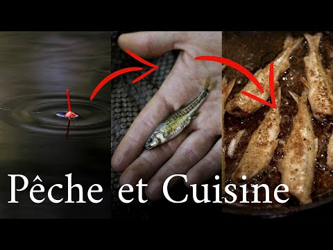 Vidéo: Le goujon est-il un poisson ?