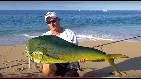 26lb  Dorado