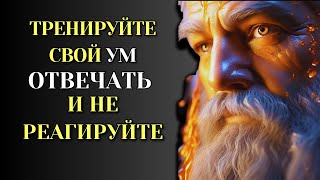 Тренируйте свой разум ОТВЕЧАТЬ, а не РЕАГИРОВАТЬ | Стоическая философия