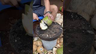 Professional Coconut Cutting Man 😲