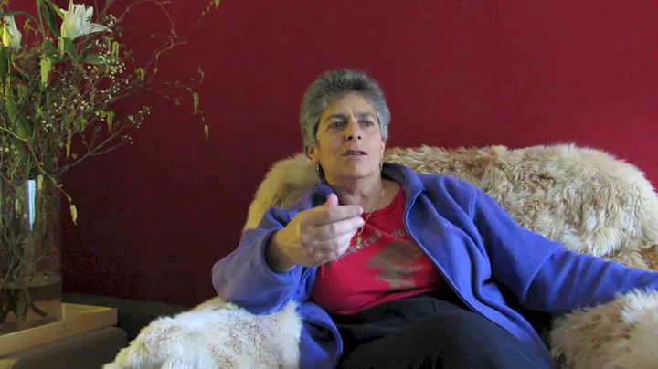 The Inca tradition | Interview with Elizabeth Jenk...