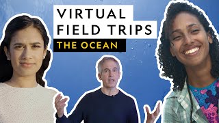 Virtual Field Trip | The Ocean screenshot 5