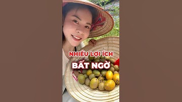 Bác Sĩ Bật Mí Công Dụng Tuyệt Vời Của Quả Cóc! |DrDiệpDung #tips #quảcóc #shorts