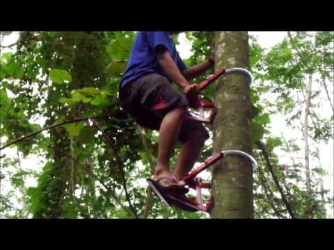 alat panjat pohon kelapa pinus durian dll Panjatkit PJ 