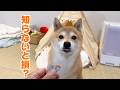 10年後も美味しくご飯を食べて欲しいから、ずっと続けている習慣です