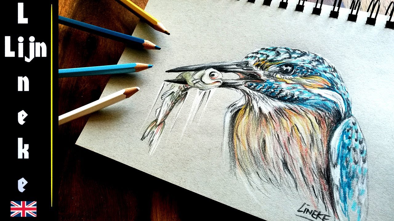 How to Draw A Kingfisher - HelloArtsy