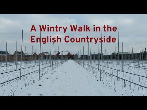 Video: Promenad i ett brett underland: nio anmärkningsvärda vinterfester i världen