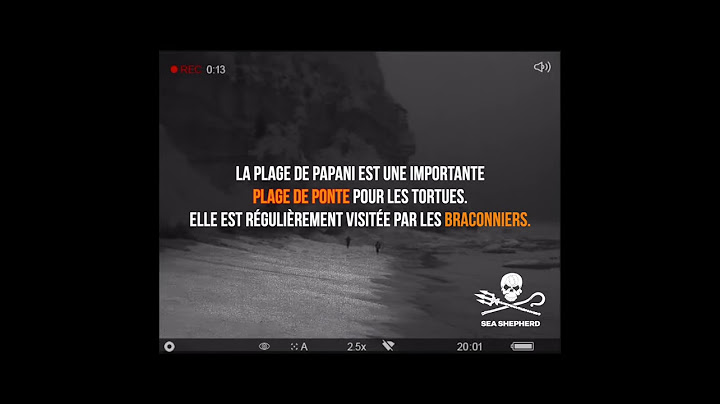 Mayotte : Sea Shepherd met de nouveau en fuite des braconniers