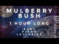 &quot;Mulberry Bush&quot; 1 Hour Long by Baby Piano Lullabies!!!