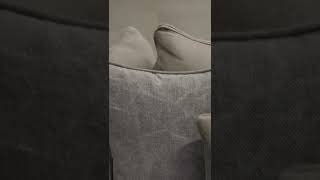 Winston Sofa Story Net Worth