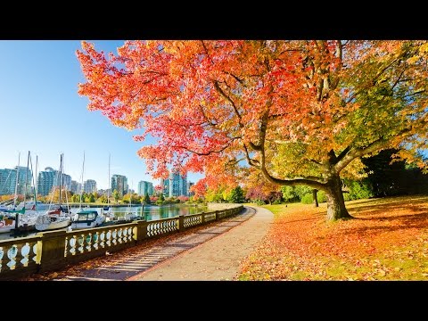 Video: Stanley Park i Vancouver är en vintergrön oas. Serien 