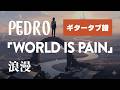 PEDRO - WORLD IS PAIN  ギタータブ譜