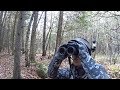 Northern NY Cedar Swamp Hunt... October 25, 2017 Northern NY Cedar Swamp Hunt... October 25, 2017