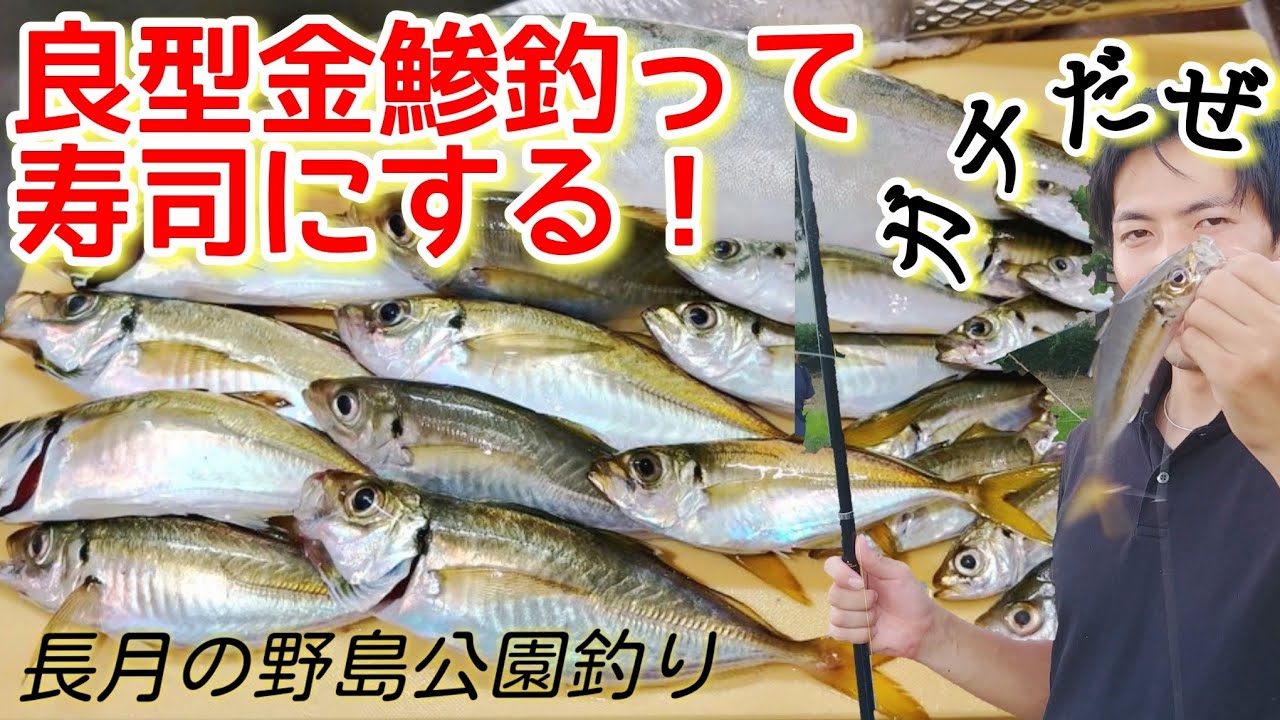 アジサビキ釣り 良型の金アジ攻略 長月の野島公園 イナダ 金鯵がお寿司になるまで シースーパーリィー Youtube