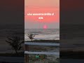 vive mientras brilla el sol