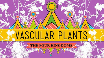 Vascular Plants = Winning! - Crash Course Biology #37