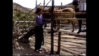 Clase 09: Bloque III: La Leche: Procesos de Ordeñe en el Ganado Caprino