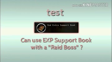 Thann Avabel Test - Can use EXP Book with the "Raid Boss"