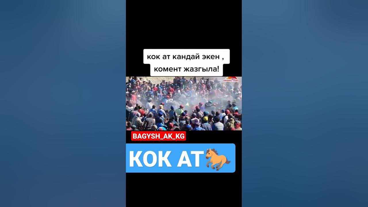 Кучтуу Кок ат #аламанулак #кокбору @bagysh_ak_kg1198 #бузкаши #kokboru ...