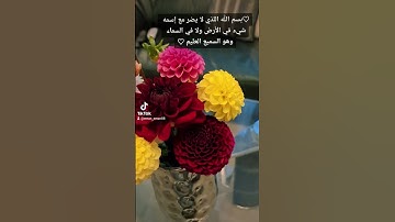 أذكار الصباح وأذكار المساء ( بسم الله اللذي لايضر مع إسمه شيء )