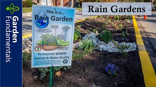 Rain Garden Introduction ☔️🌊❄️ What are they and Why do you need one?