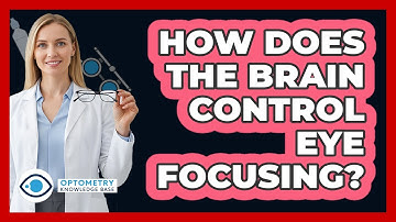 How Does The Brain Control Eye Focusing? - Optometry Knowledge Base