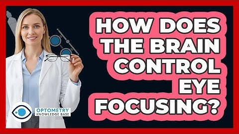 How Does The Brain Control Eye Focusing? - Optometry Knowledge Base