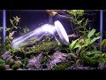 World's First Closed Terrarium in an Aquarium