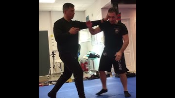 Sifu Abe Santos teaching footwork at Jun Fan Jeet Kune Do Seminar in Toulouse France, February 2019.