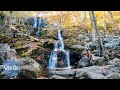 469mile fly fishing roadtrip across the blue ridge parkway