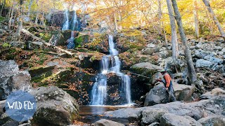 469Mile Fly Fishing Roadtrip Across the Blue Ridge Parkway