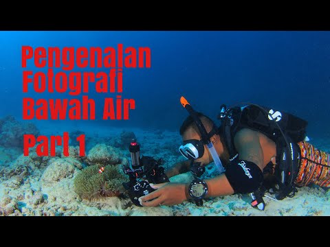 Video: Cara Menyesuaikan Kamera Untuk Fotografi Bawah Air