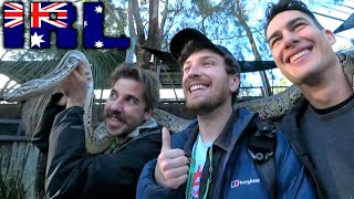 Exploring Wild Animals In Australia! ft. I did a thing & Boy Boy