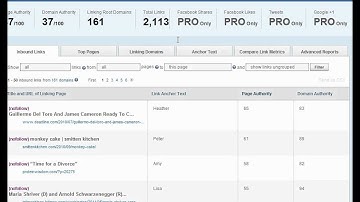 Open Site Explorer New Features