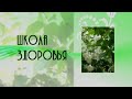 Упражнения для преодоления лени. Краниосакральная терапия