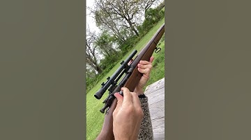 1903 Springfield Sniper