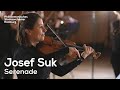 Josef Suk: Serenade für Streicher op. 6 | Kent Nagano, Philharmonisches Staatsorchester Hamburg