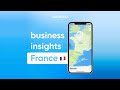 Business Insights France