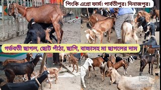 খামার থেকে ছাগল কিনুন-। গর্ভবতী ছাগল, পাঁঠা, বাচ্চাসহ মা ছাগলের দাম জানুন। Goat Farm Krishi Deepti