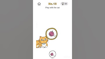 brain out game crazy find level 13 | play with the cat
