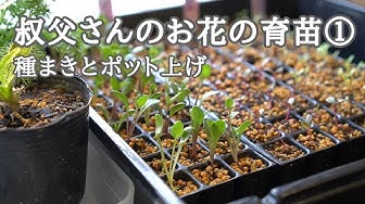 種まき Youtube
