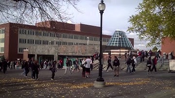 Murrow College Tutorial 1