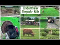 Lindenthaler Tierpark Köln