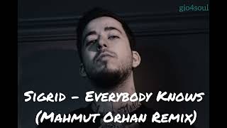 Sigrid - Everybody Knows (Mahmut Orhan Tik Tok Remix) Resimi