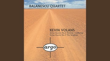 Volans: String Quartet No. 2 