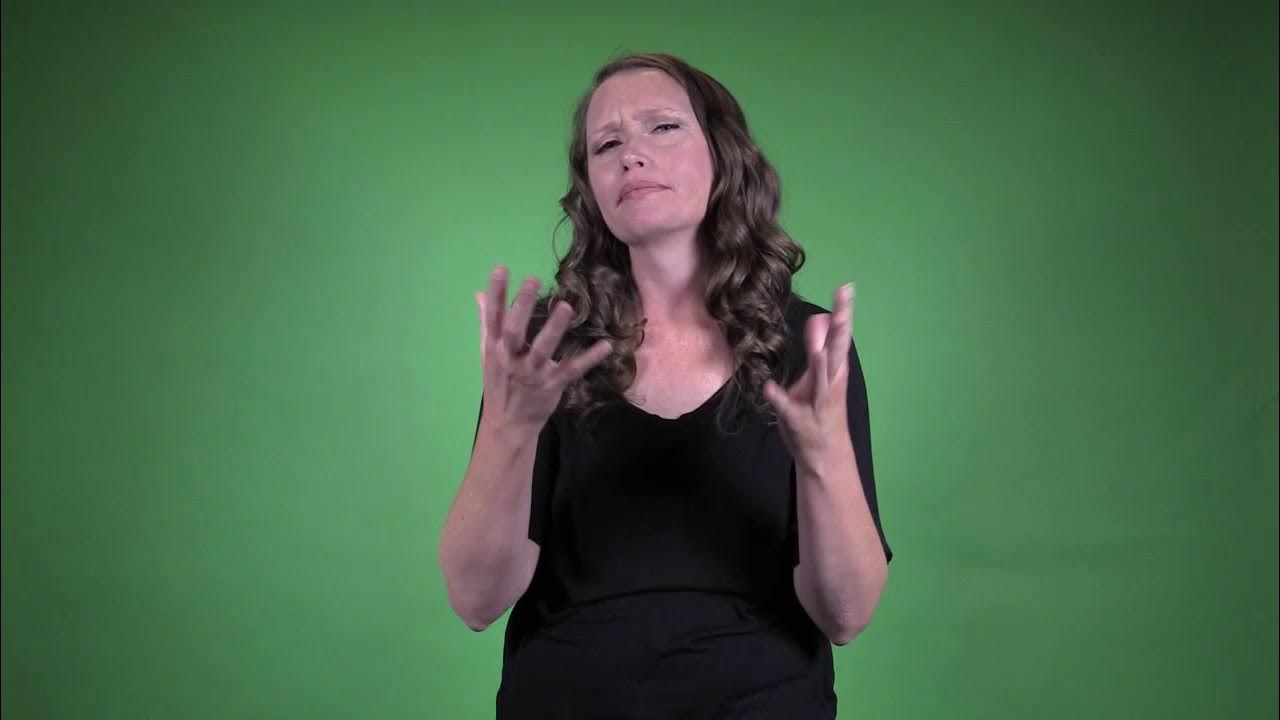 how-many-how-much-asl-youtube