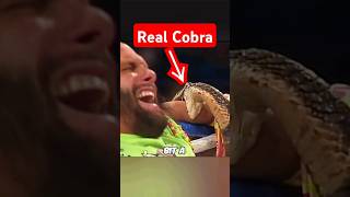 A Real Cobra Bit a WWE Wrestler &amp; then #wwe #wweraw