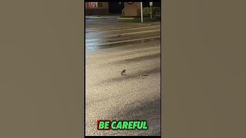 Real Life Frogger !🤣🤣 #frogger #videogames #frogvideo