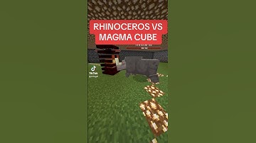 RHINOCEROS vs MAGMA CUBE | MOB BATTLE #minecraft #mobbattle #shorts #minecraftshorts
